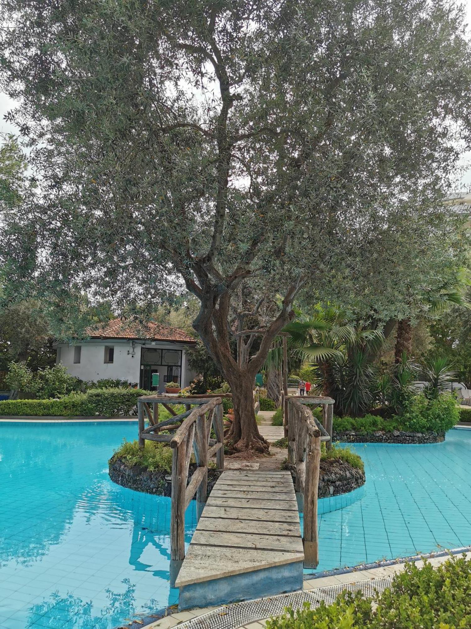 Casa Mar - Elegant Apartment With Pool And Panoramic Terrace In The Heart Of Sorrento Kültér fotó